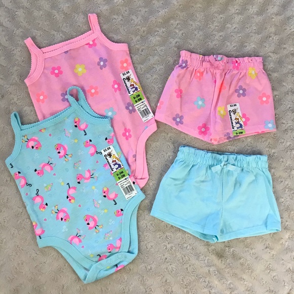 Garanimals Other - Garanimals Baby Girl Sets 0-3 Months Flamingo Blue